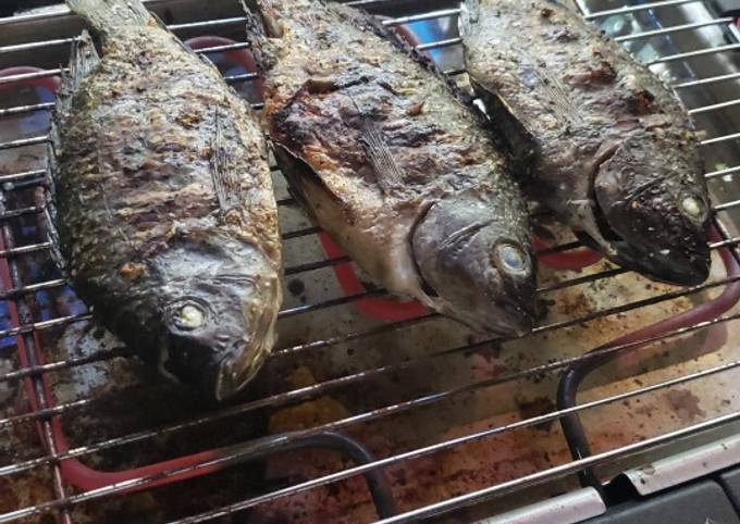Tilapia asada